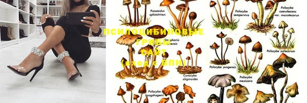 гашишное масло Пролетарск