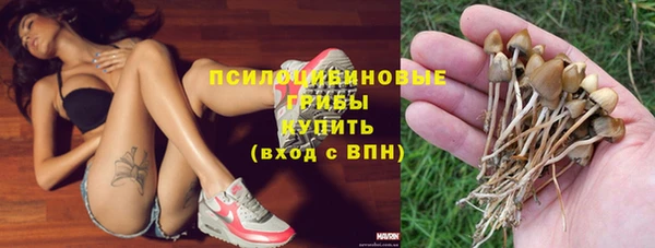 прущие грибы Алексин