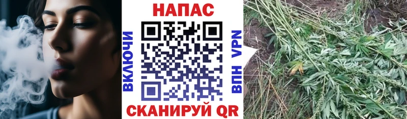 Канабис White Widow МЕГА как зайти Киренск